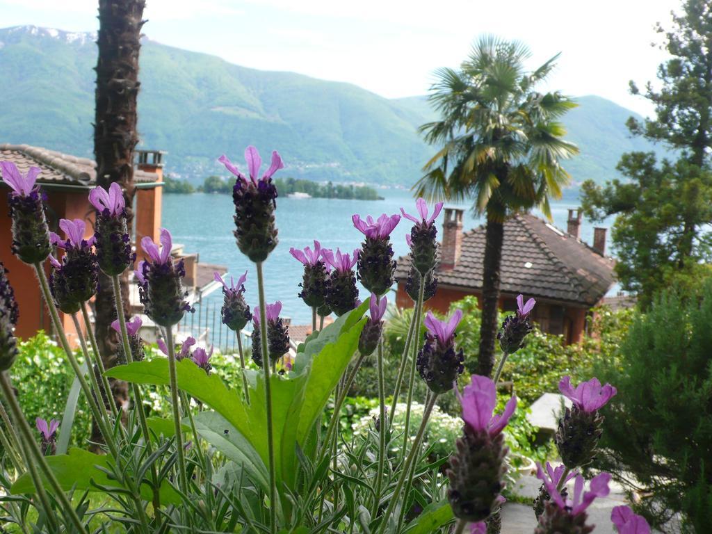 Casa Eva Leilighet Ronco sopra Ascona Eksteriør bilde